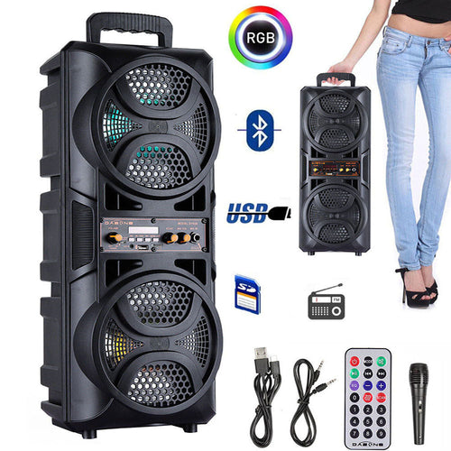 Haut-parleur Bluetooth karaoké sur roulettes double 6,5 po avec micro filaire et DEL