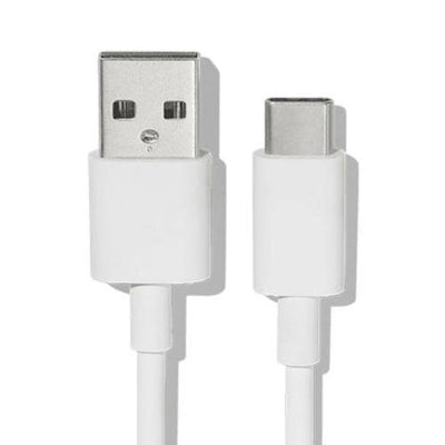 Google Câble USB-A vers USB-C 1 m — câble de recharge Pixel Buds (blanc)